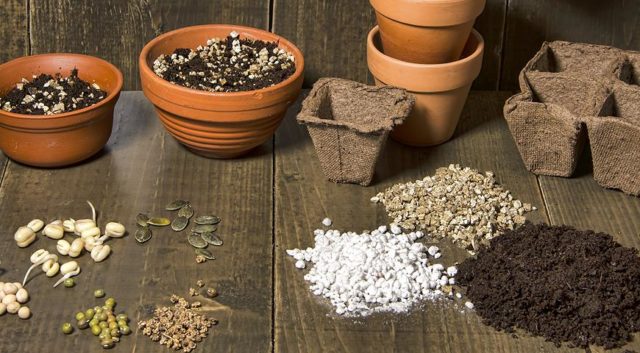 Perlite et vermiculite: quelle est la différence, en quoi elles diffèrent,  comment l'appliquer