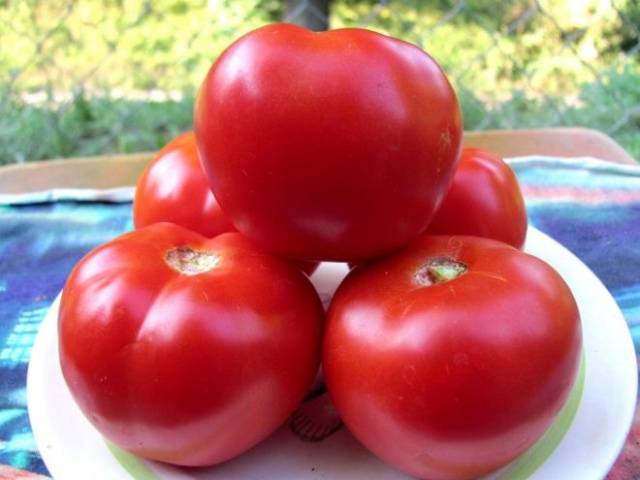 Tomates agrupados para invernaderos