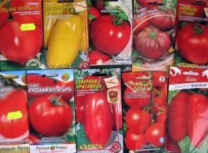 Kā dīgt tomātu sēklas stādiem