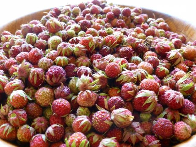 Wild strawberry jam: opskrift