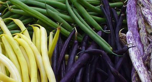 Green beans asparagus