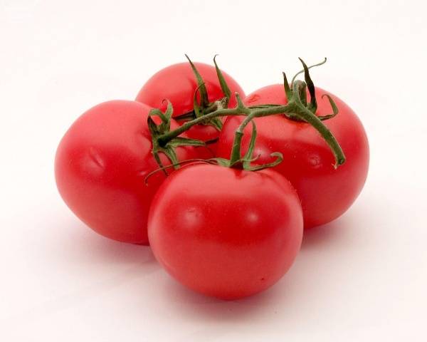 Skupljena rajčica za otvoreno tlo