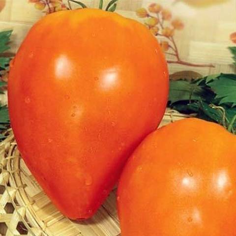 Oransje hjerte